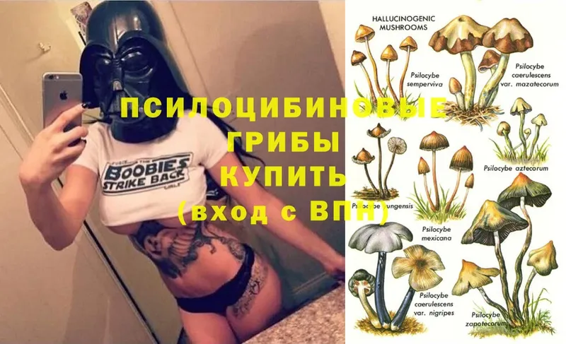 Галлюциногенные грибы MAGIC MUSHROOMS  где можно купить   Аркадак 